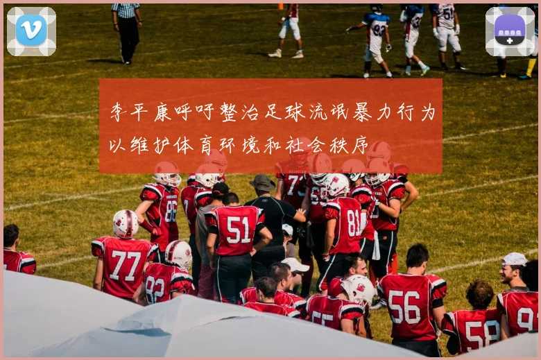 李平康呼吁整治足球流氓暴力行为以维护体育环境和社会秩序
