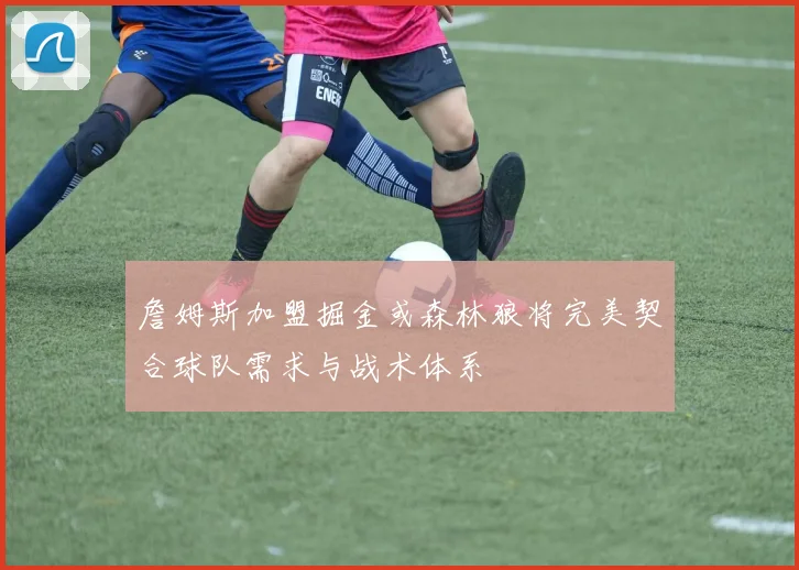 詹姆斯加盟掘金或森林狼将完美契合球队需求与战术体系