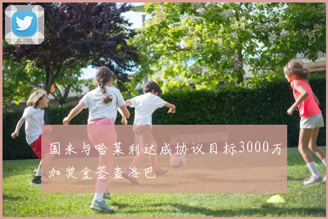 国米与哈莱利达成协议目标3000万加奖金签查洛巴