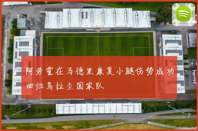 阿劳霍在马德里康复小腿伤势成功回归乌拉圭国家队